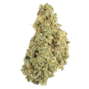 Buy Animal Crackers Strain Online