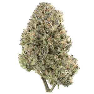 Buy Cactus Breath Strain Online