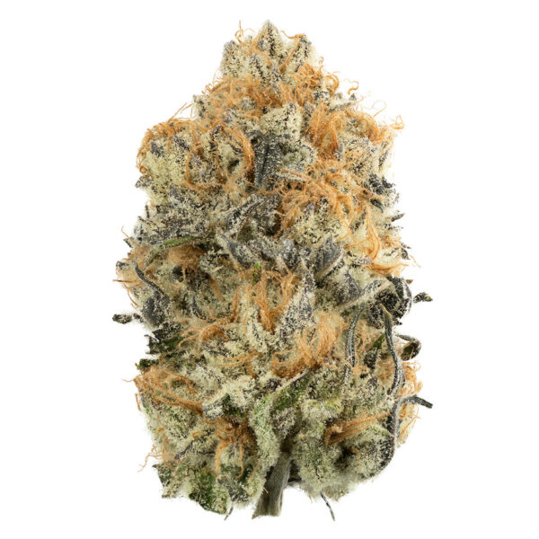 Buy Durban Poison Strain Online