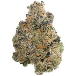 Buy Grape Runtz by Exotic Genetix Online