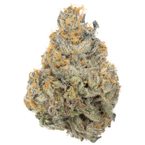 Buy Jelly Donut by DNA Genetics Online