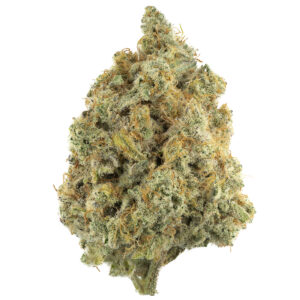 Buy UK Cheese Weed Strain Online