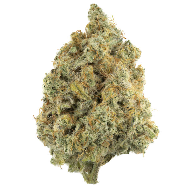 Buy UK Cheese Weed Strain Online