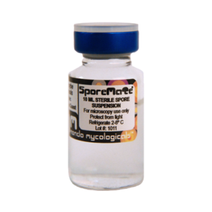 Buy Albino A+ psilocybe cubensis spore vial Online