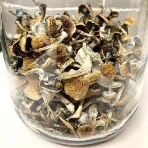 Buy Psilocybe Mexicana online