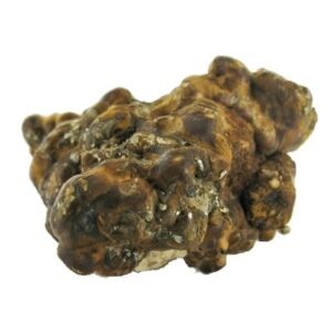 Buy Hollandia Magic Truffles online