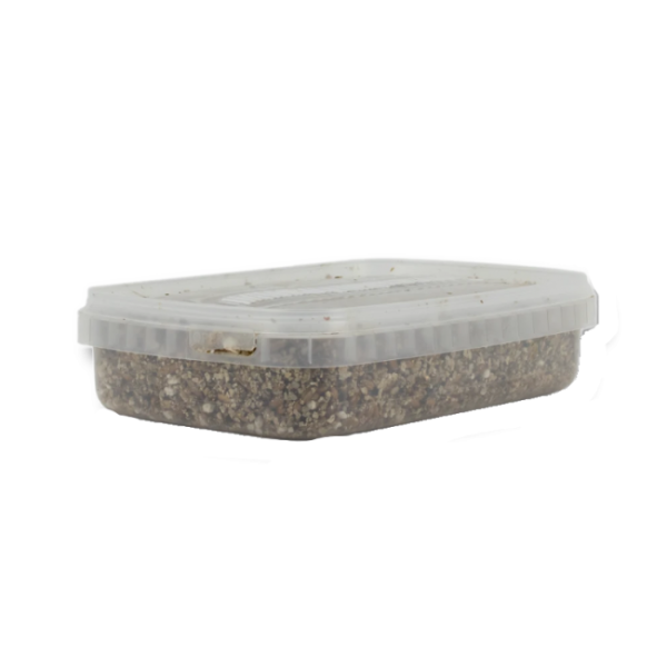 Buy Sterile Magic Mushroom substrate for p. Cubensis Medium online