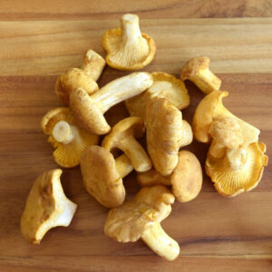 Buy Chanterelle Mushroom for Sale online