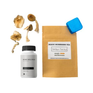 Buy First Timer Magic Mushroom Kit: Psych 101 – An Introduction to Psychedelics online