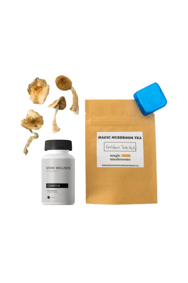 Buy First Timer Magic Mushroom Kit: Psych 101 – An Introduction to Psychedelics online