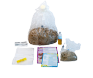 Buy Magic Mushroom Grow Kits Online