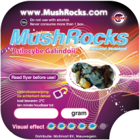 Buy Magic Truffles Galindoi Mushrocks online